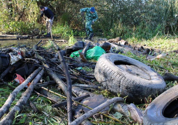 В Туле активисты, волонтеры и неравнодушные жители приняли участие в уборке Щегловского ручья