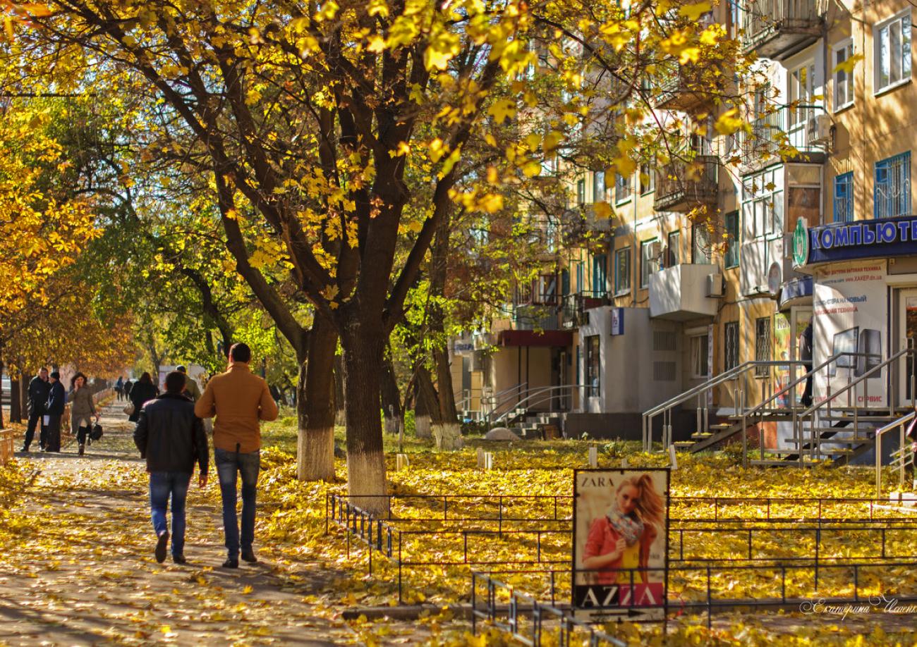 Осенний Двор Фото