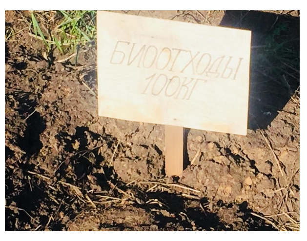 Новомосковская горбольница не хоронит бомжей, это делает МУП «Ритуал» — минздрав