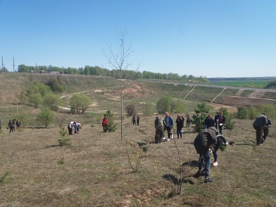 Всероссийский день посадки леса. 300 саженцев ели и липы высадили в Чекалине
