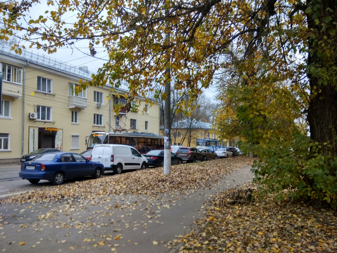 Тула голубицкая на машине