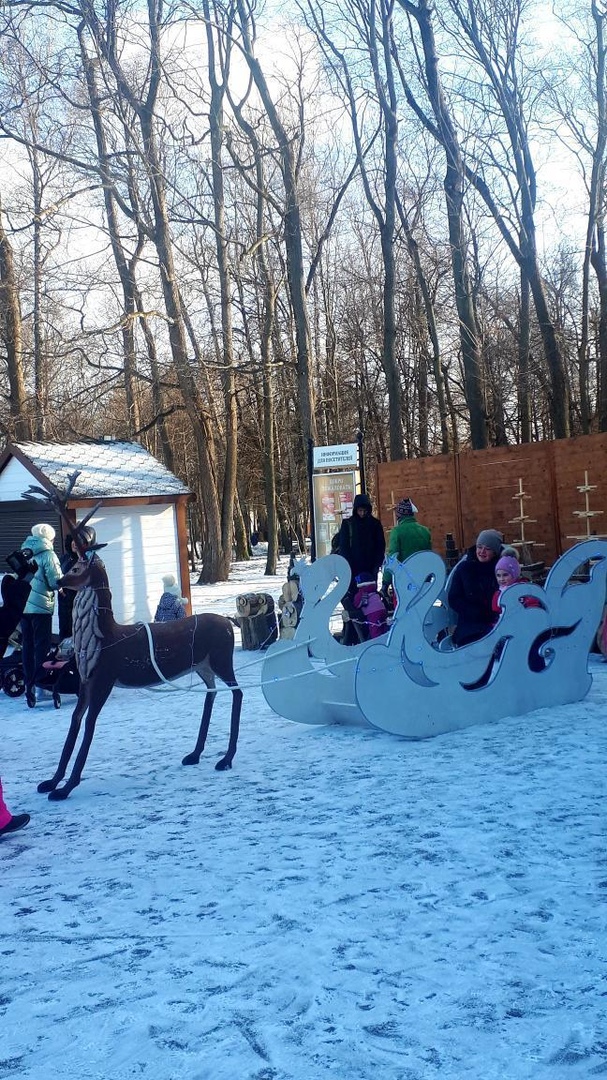 Каток в белоусовском парке