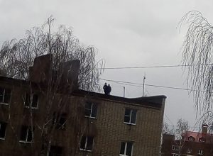 Школьники в Новомосковске бегают по крышам домов