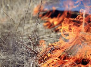 В Тульской области объявлена высокая степень пожароопасности