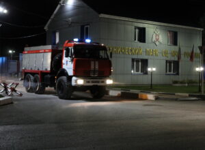 Тульские спасатели помогут тушить лесные пожары под Воронежом