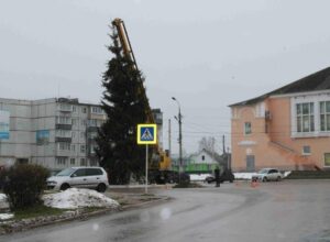В Суворове начали устанавливать новогоднюю ёлку