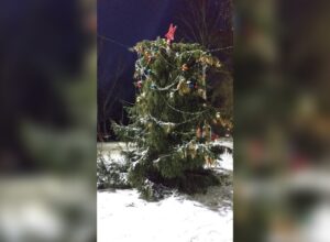 В Туле в селе Архангельское спилили новогоднюю елку