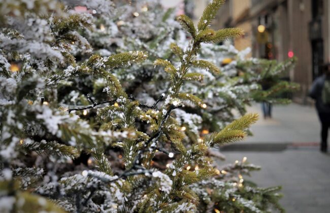 В Заокском районе установят искусственную новогоднюю елку