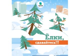 Переработка Новогодних Елок Переработка Новогодних Елок