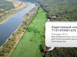 В Тульской области продают берег Оки за 44 млн рублей