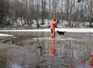 В Ефремовском районе сотрудники МЧС спасли с льдины собаку