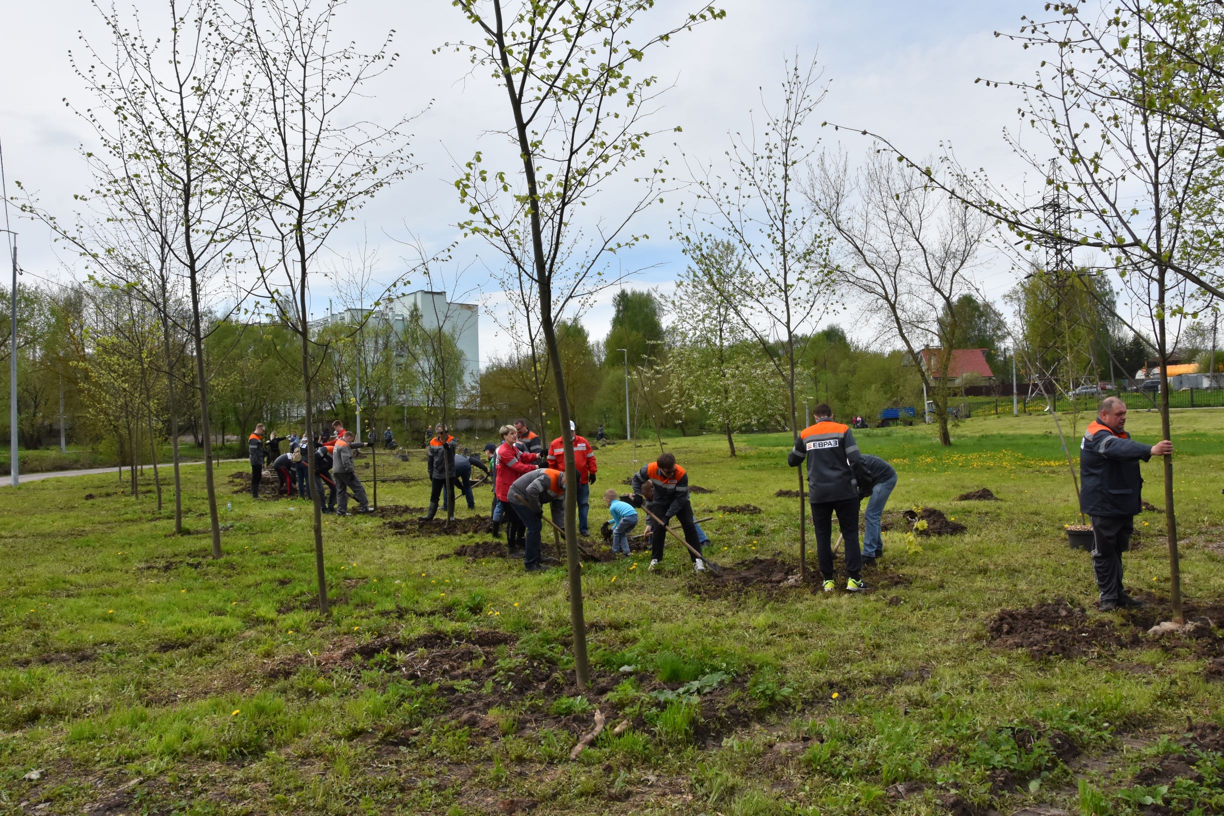 Баташевский Сад Тула Фото – Telegraph