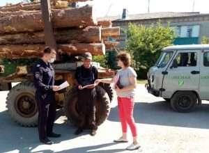 В Суворовском районе проходит оперативно-профилактическое мероприятие «Лесовоз»