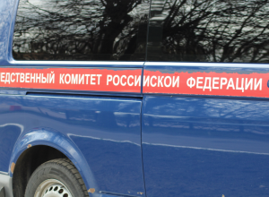 В Новомосковске пьяный уголовник едва не убил собственную мать, вытолкнув из окна