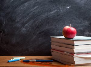 В Тульской области учителя могут заработать больше 50 тыс. рублей в месяц на удаленке