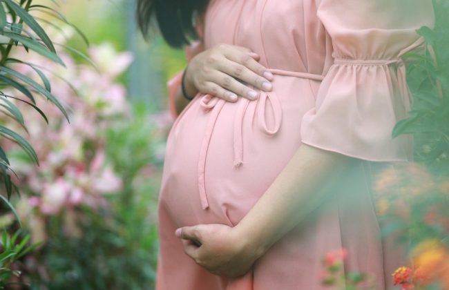 16 тысяч тулячек подали заявления на новые пособия для беременных и одиноких