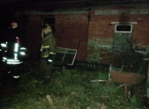 На пожаре в поселке Трудовой под Тулой погибли два человека