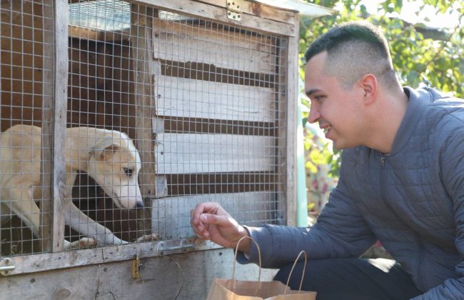 Волонтеры оказали благотворительную помощь приюту для бездомных животных
