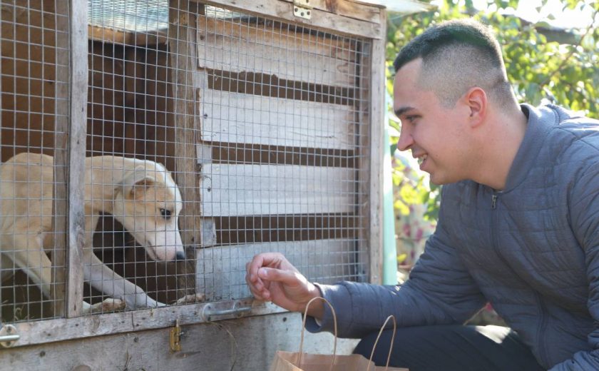 Волонтеры оказали благотворительную помощь приюту для бездомных животных