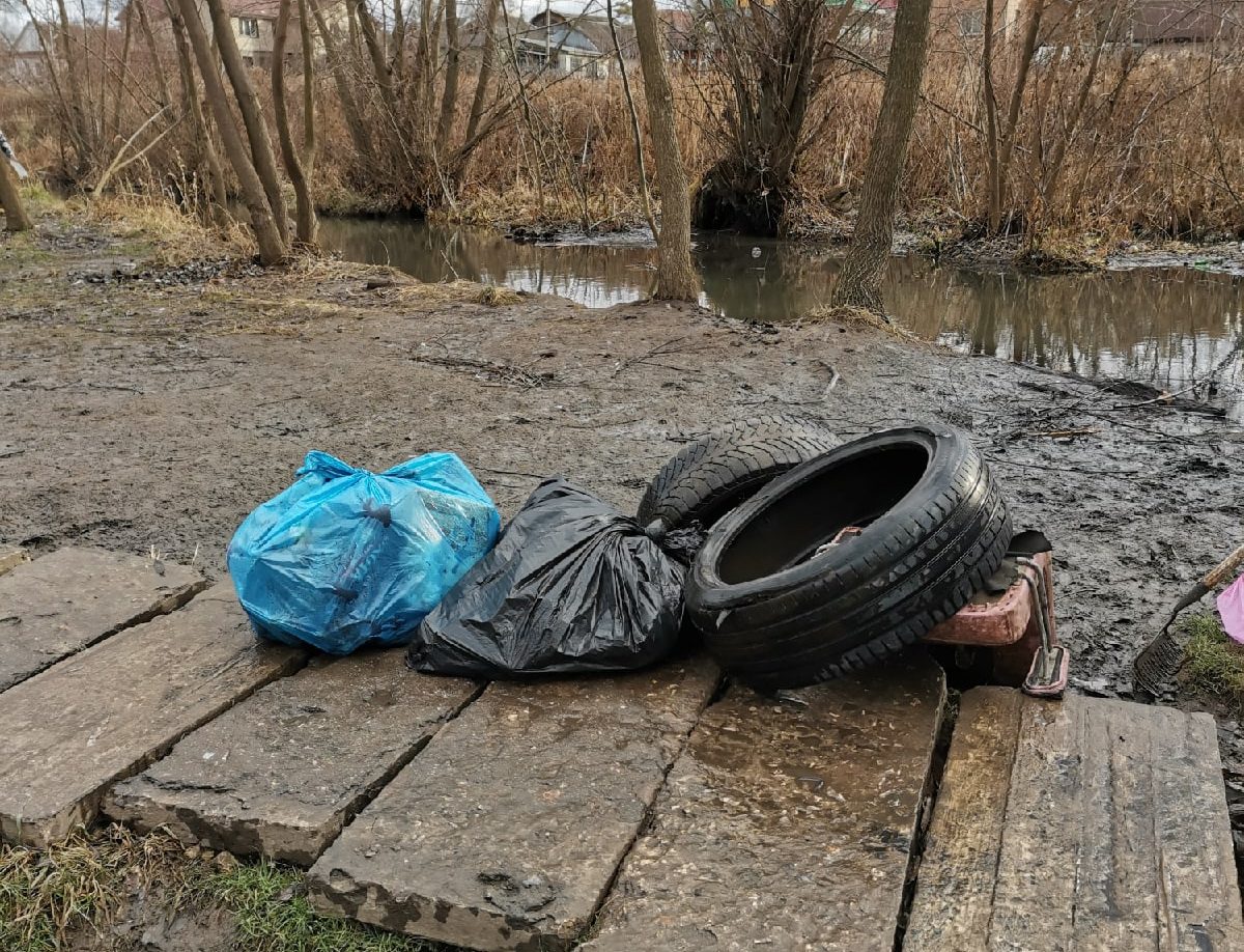 Жительница Тулы пожаловалась на загрязнение Щегловского ручья в Пролетарском районе
