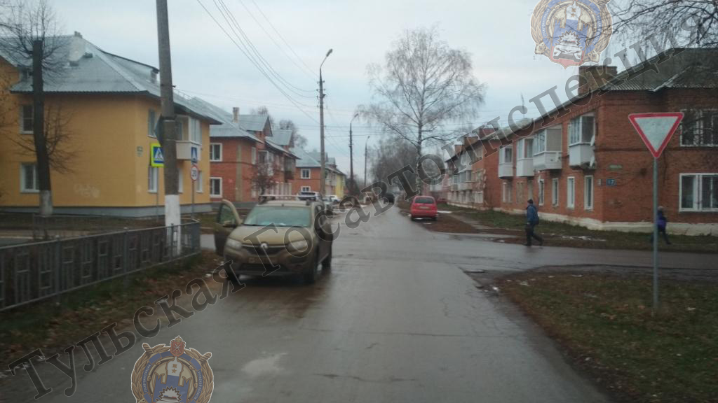 Под Новомосковском водитель «Renault» сбила 59-летнюю велосипедистку