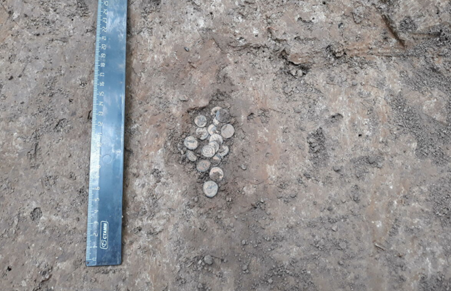 В Тульской области у верховья Оки обнаружены монеты времен заката Римской империи