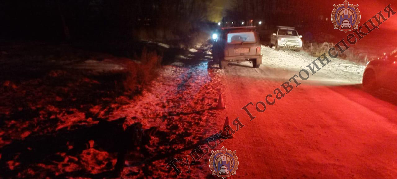 В Кимовском районе пьяный водитель на «Ниве» насмерть сбил 77-летнюю женщину