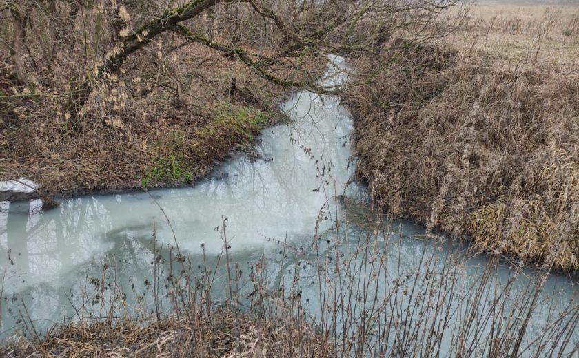В Тульской области жители сообщили о сильном загрязнении реки Бобрик