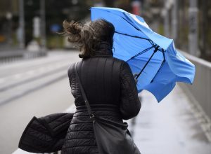 В Тульской области объявлено метеопредупреждение из-за ветра и гололедицы