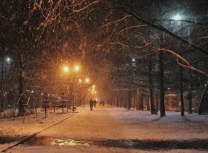 3 декабря в Тульской области ожидается мокрый снег и до +5
