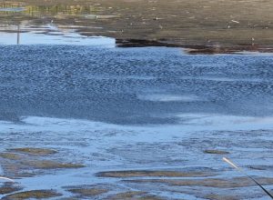 Компанию «Новомосковский хлор» оштрафовали на 7 млн рублей за загрязнение водоема