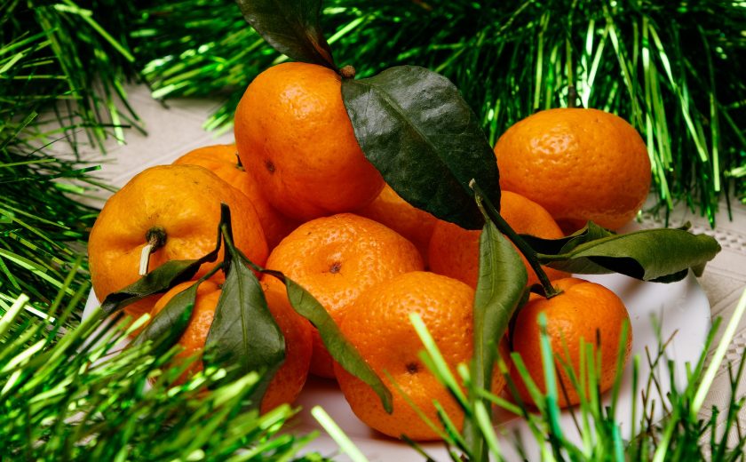 Тульский Роспотребнадзор в новогодние праздники возьмет под контроль качество еды