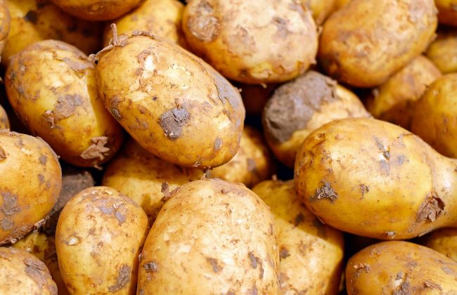 Риск дефицита картофеля. Как изменятся цены и чего ждать тулякам?