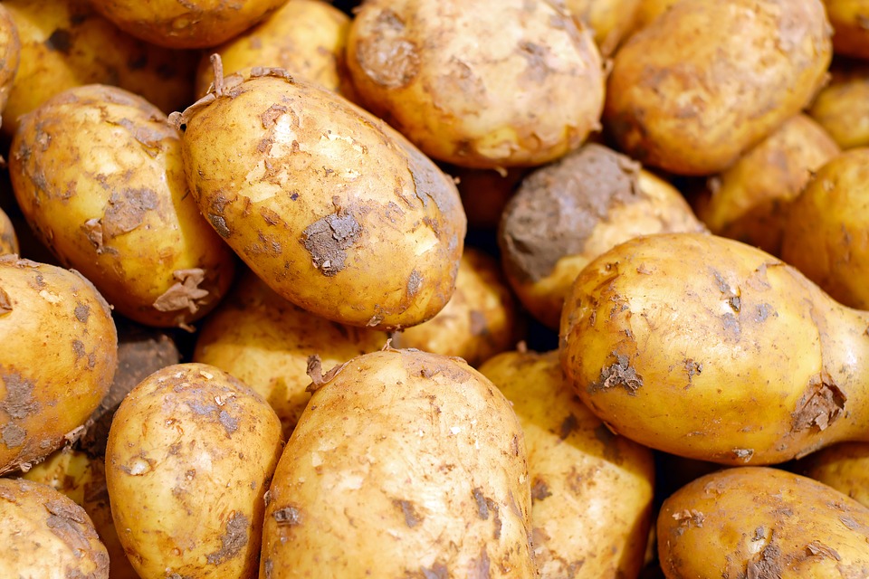 Риск дефицита картофеля. Как изменятся цены и чего ждать тулякам?