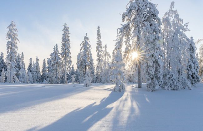 1 января в Туле ожидается снегопад и до +1