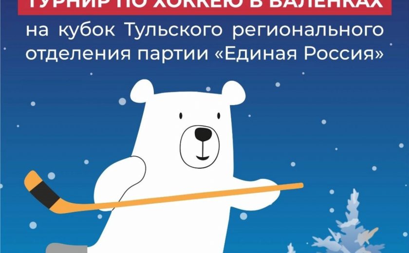 Николай Воробьев: При поддержке «Единой России» в Туле пройдет турнир по хоккею