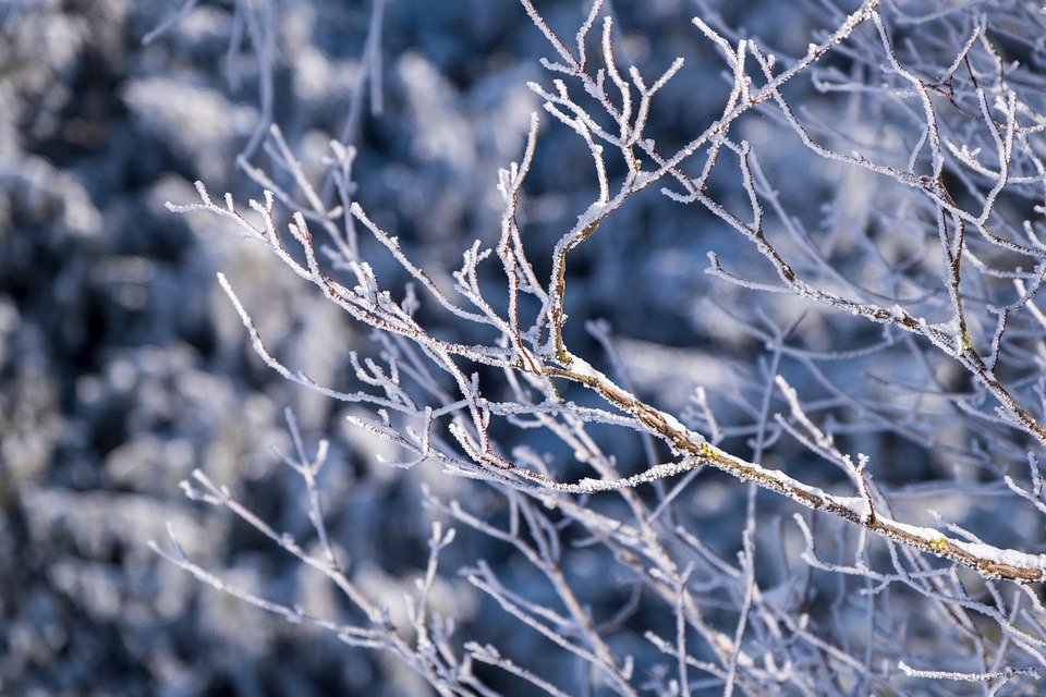 13 января в Туле ожидается снегопад и 18-градусные морозы