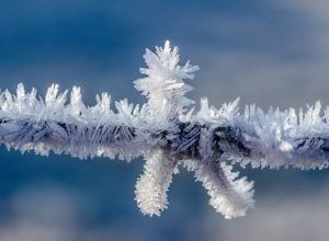 В Туле 19 января ожидается переменная облачность и 20-градусные морозы