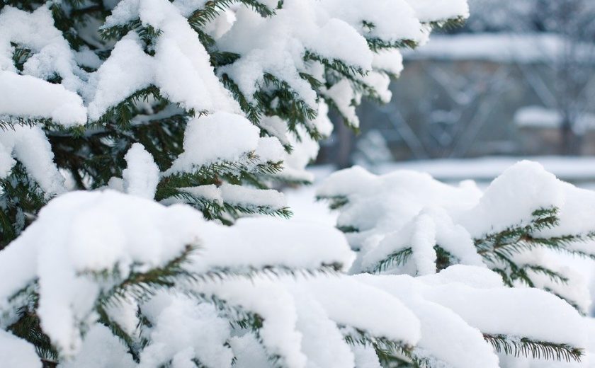 22 января в Туле ожидается снегопад и до -5