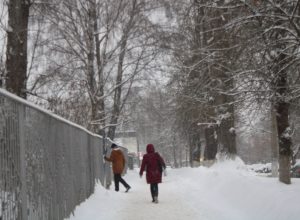 Очередной атлантический циклон принесет в Тульскую область снегопады