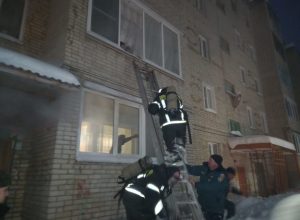 Из горящего дома в Богородицке эвакуировали 4 детей