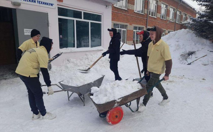 Ясногорские студенты расчистили от снега территорию техникума