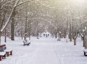 28 января в Тульской области ожидается снегопад и до -8