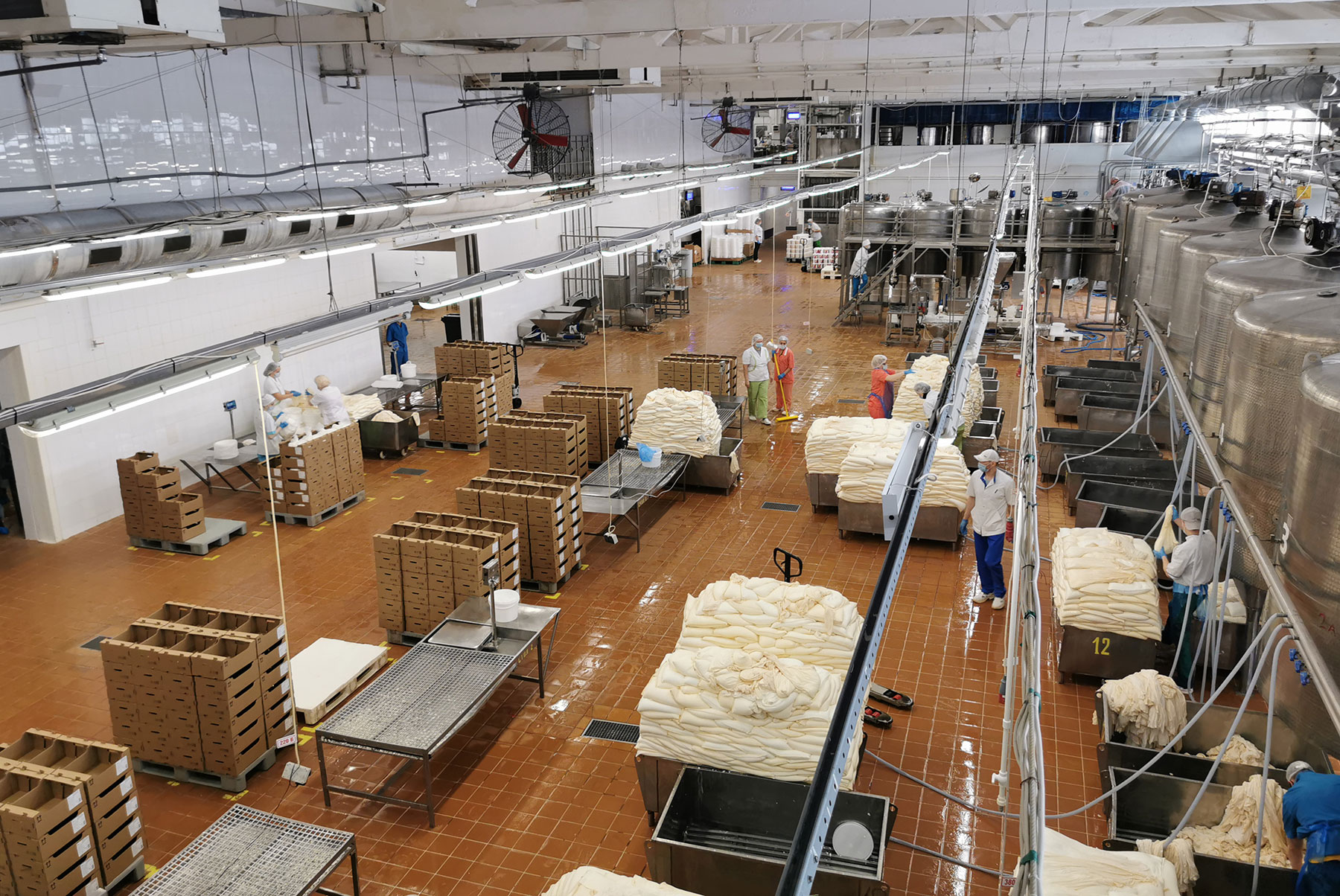 В Узловском районе на молочном комбинате оптимизировано производство творога