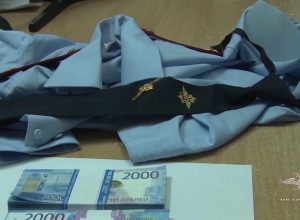 В Тульской области лже-сотрудники МВД и ФСБ пытались «развести» пенсионера на деньги