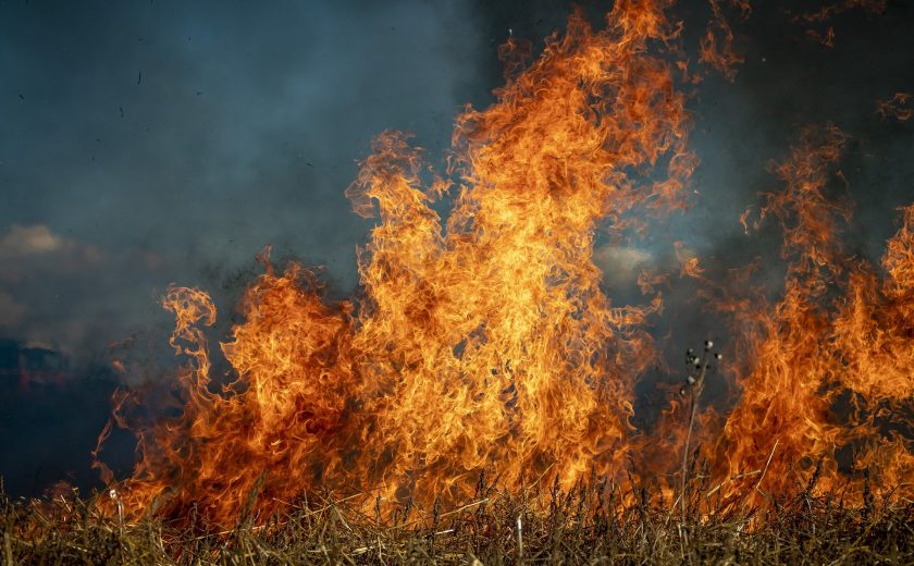 В Тульской области за неделю 147 раз тушили горящую траву