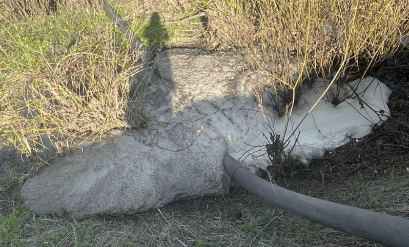 Жители Куркинского района обнаружили в пруду мертвую рыбу