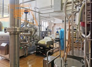В Туле молочный комбинат увеличил выработку плавленого сыра на 85%
