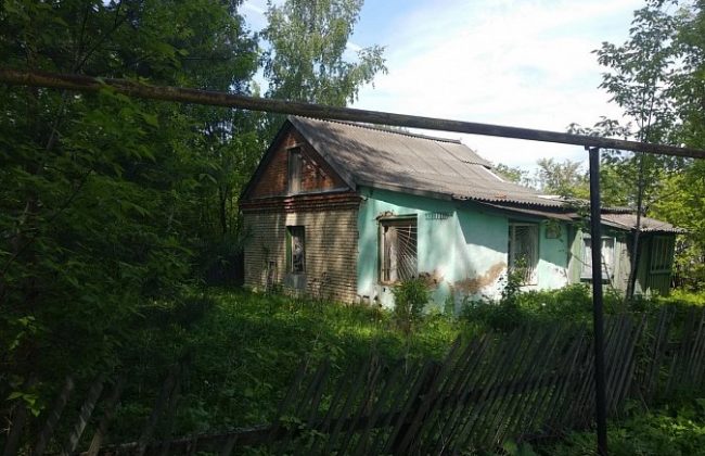 В Тульской области на аукционе продадут здание ветлечебницы с участком