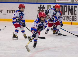 В Туле пройдет хоккейный турнир памяти Владимира Петрова